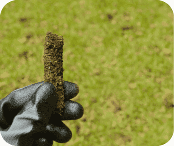 Core aeration and overseeding in Manor, PA