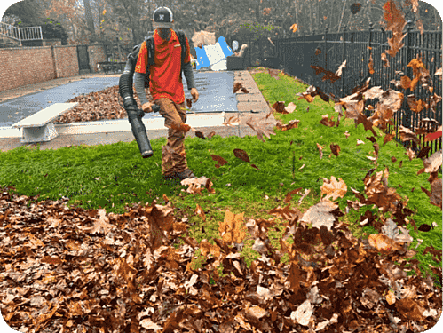 Seasonal cleanup service in Hunker, PA