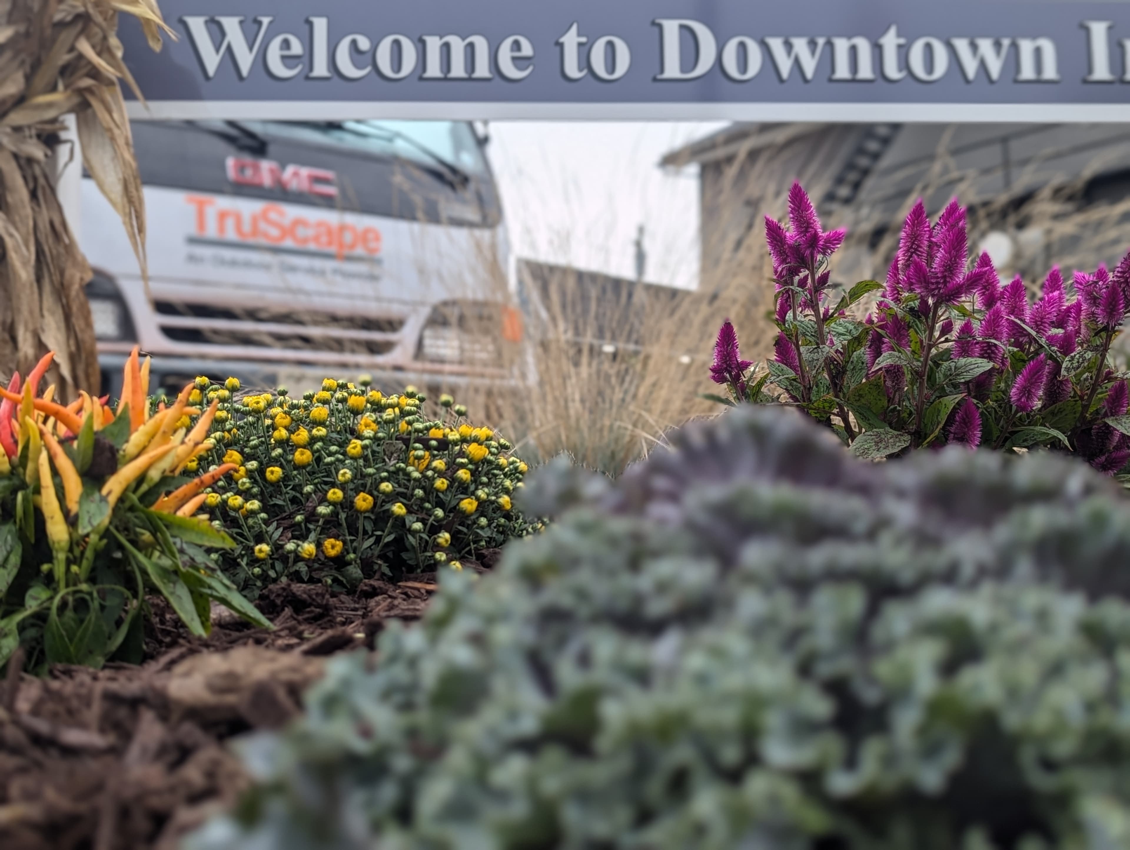 Seasonal flower display at welcome sign