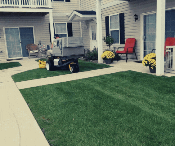 Hydroseeded lawn receiving follow-up care