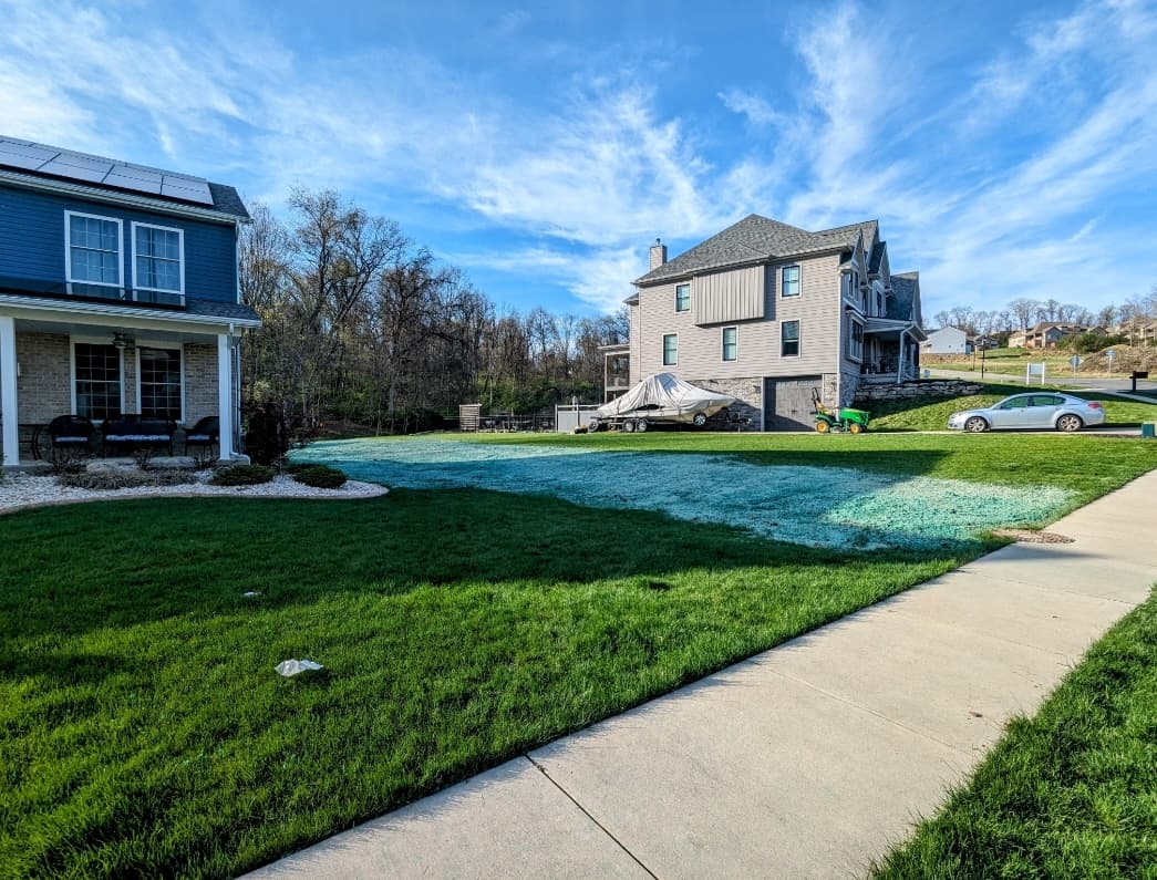 Newly seeded residential lawn near Belle Vernon PA