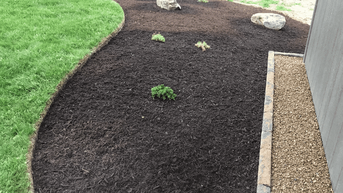 Landscape Bed Weed Control