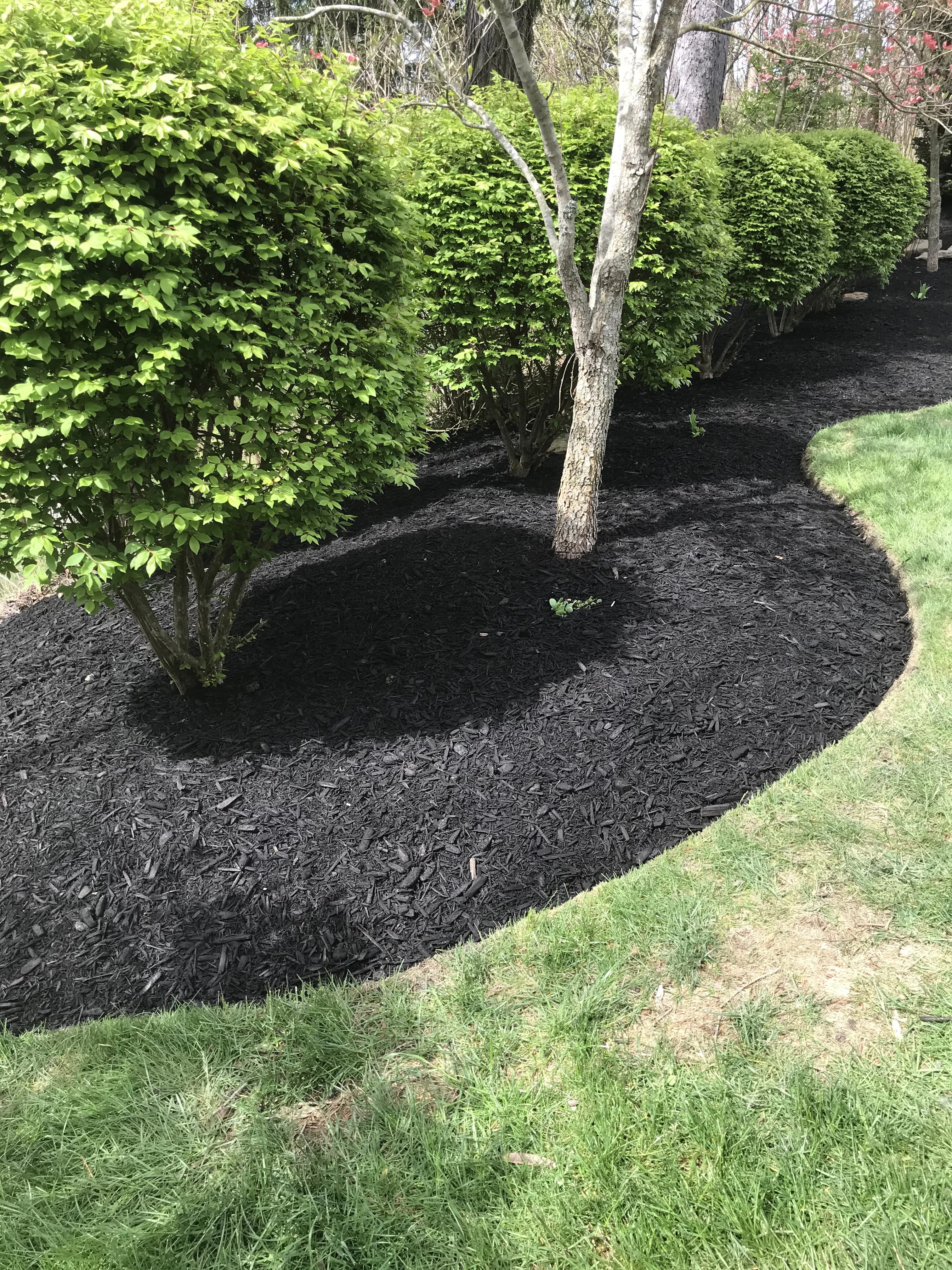Black mulch garden beds in Westmoreland County