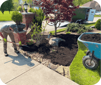 Annual mulching service