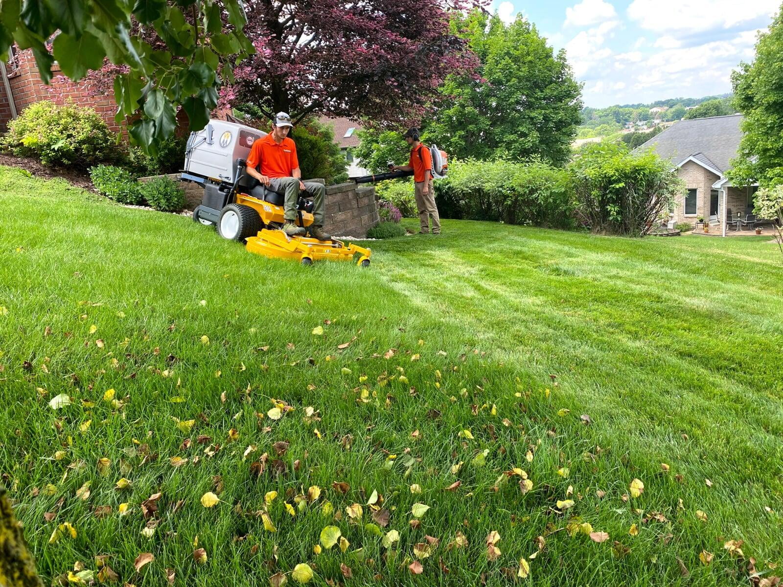 Professional Lawn Maintenance